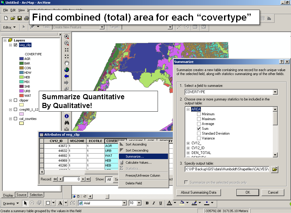 Summarize Example in ArcMap